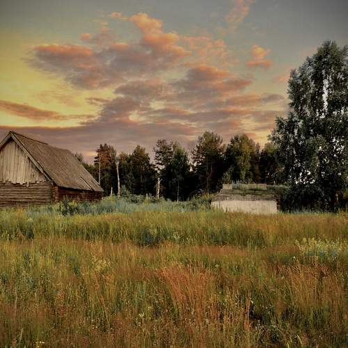 Photo #6268506