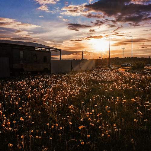 Photo #6268736