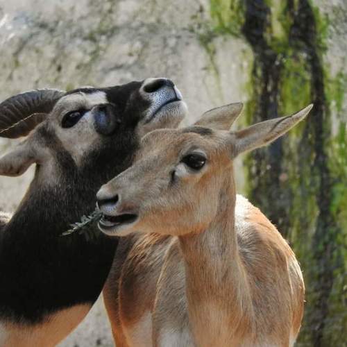 Photo #6268872
