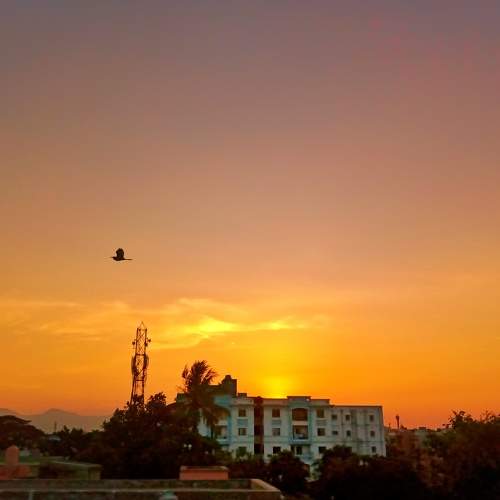 Chill sunset