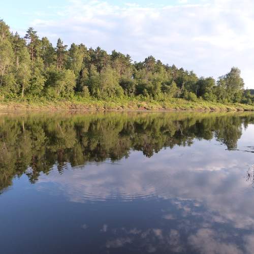 Photo #6269383