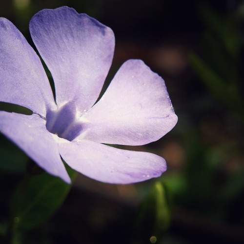 Photo #6269428