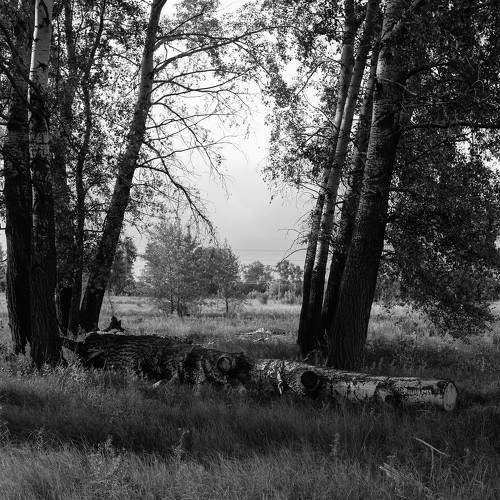 Photo #6269872