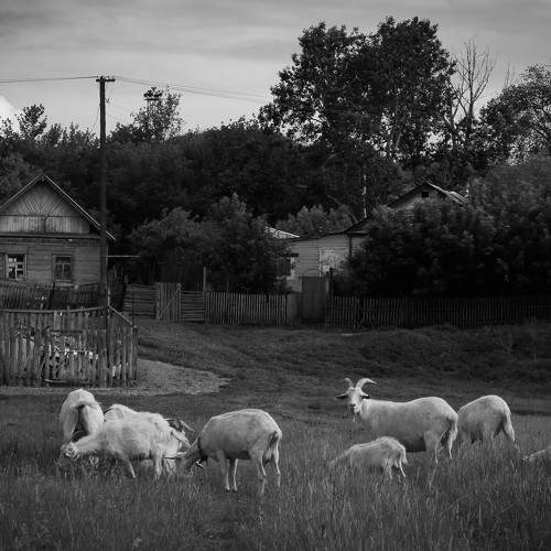 Photo #6269873