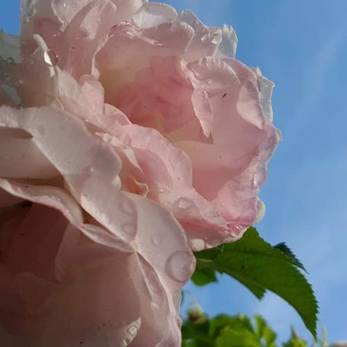 Photo #6269992