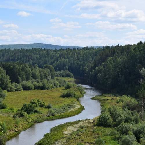 Photo #6270661