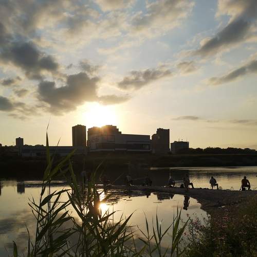 Photo #6270754