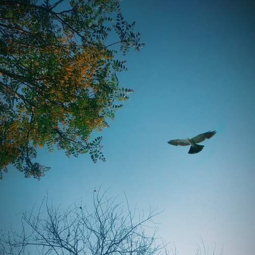 Photo #6270786