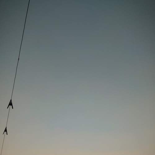 Photo #6270794