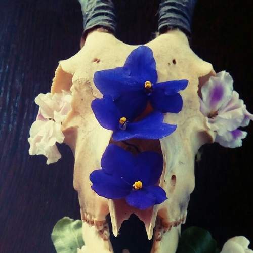 Photo #6271114