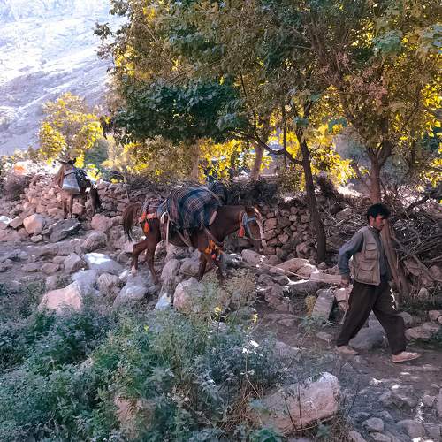 backpacker at Jabal Babrinji