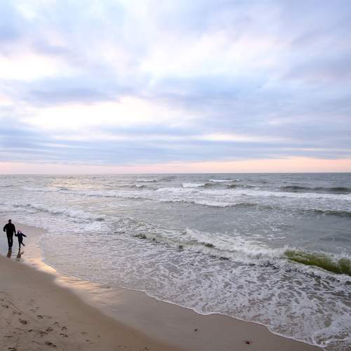 Photo #6271417