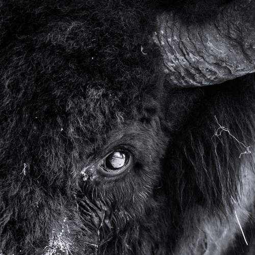 Photo #6271634