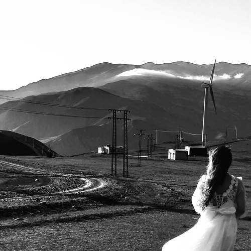 Photo #6271751