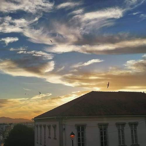 Photo #6271804
