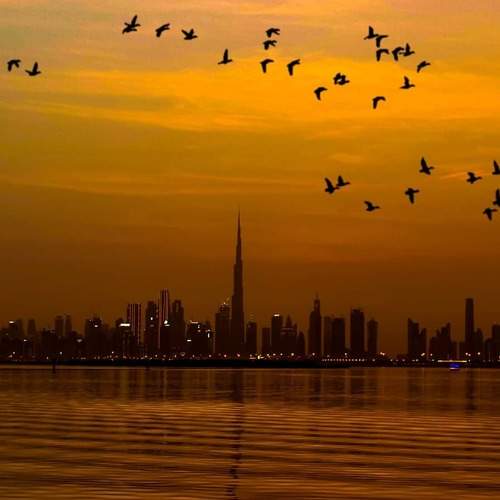 Dubai Skyscraper- Sunset