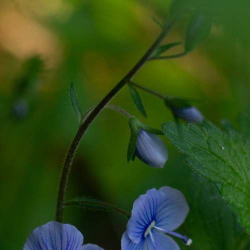 Photo #6272466
