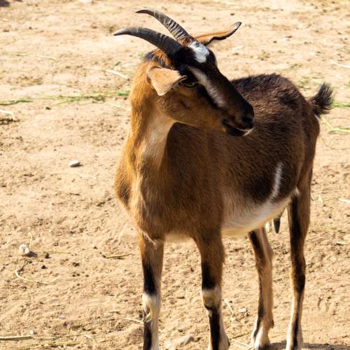 Photo #6272515