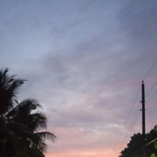 Back Home