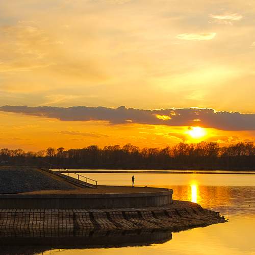 Photo #6273279