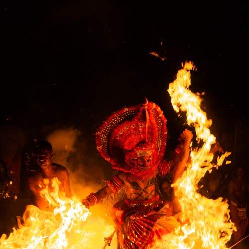 Photo #6273328