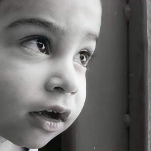 Photo #6273452