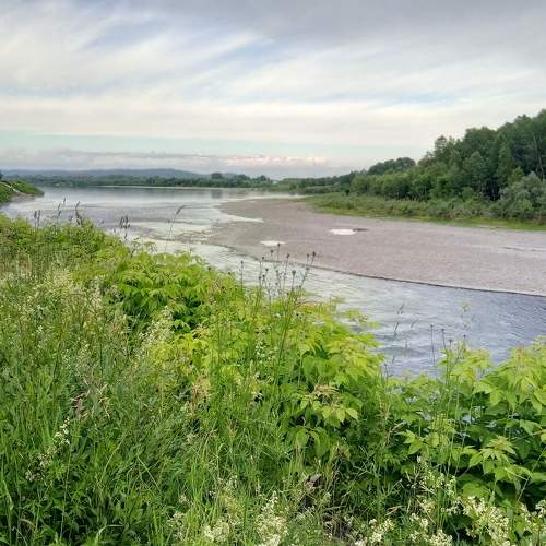 Photo #6273462