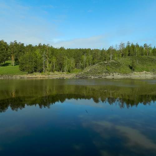Photo #6273754