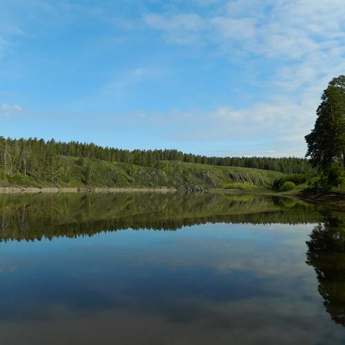 Photo #6273755