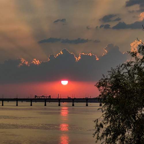 Photo #6273804