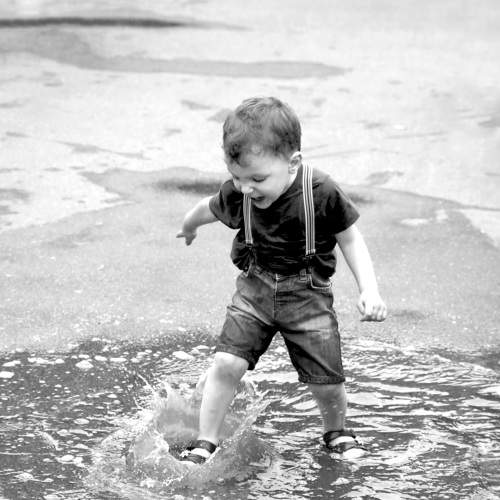 Photo #6274062