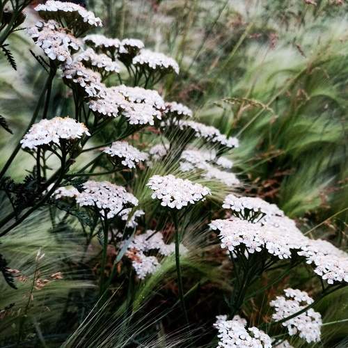 Photo #6274349