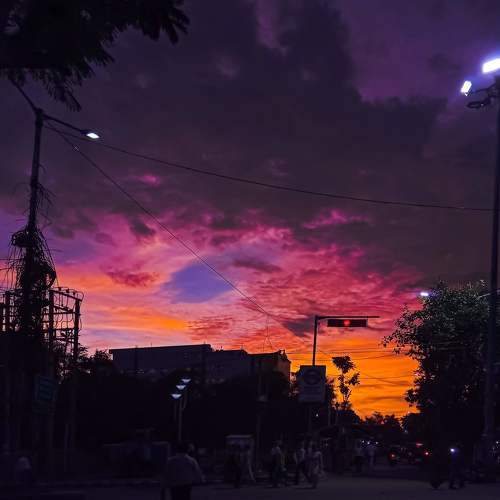 Photo #6274402