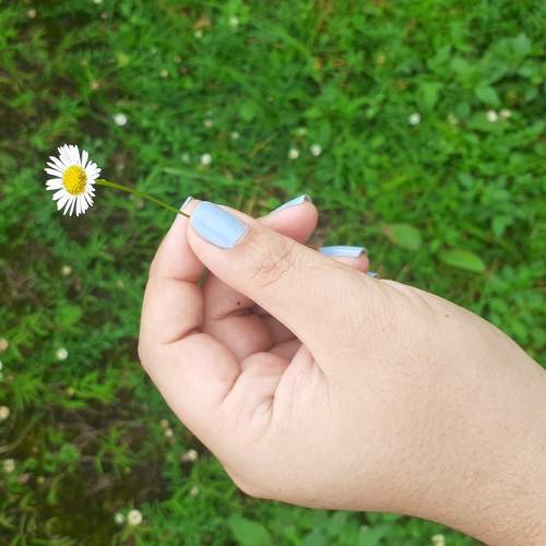 Photo #6274508
