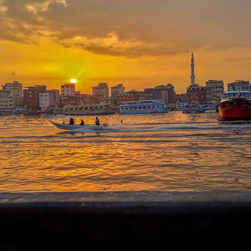 Photo #6274540