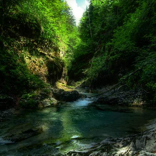 Фотография #6274589