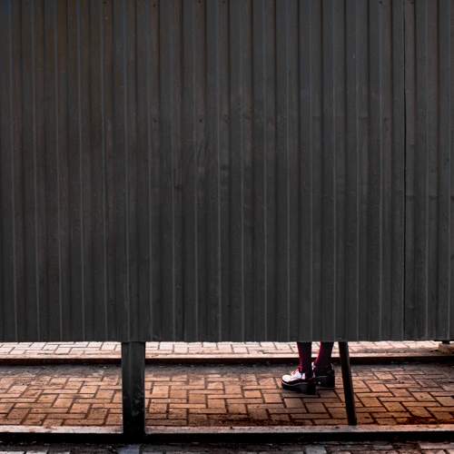 Photo #6274694