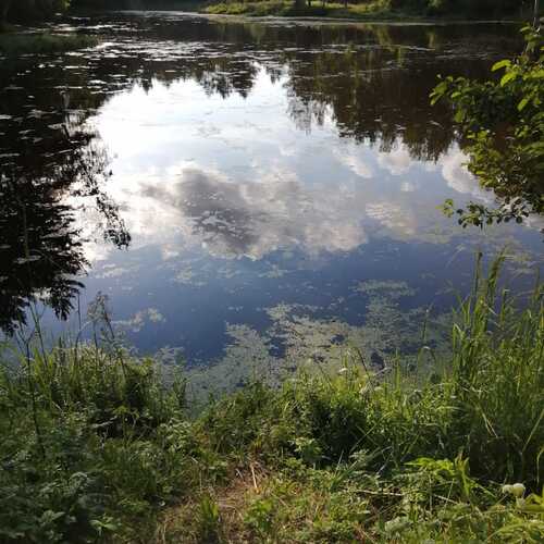 Photo #6275193