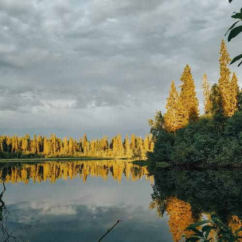 Photo #6275276