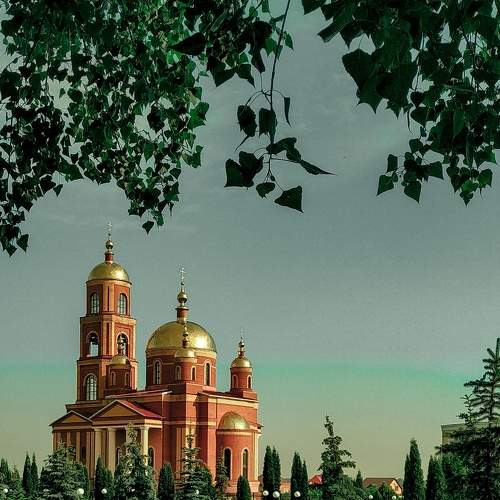 Photo #6275279