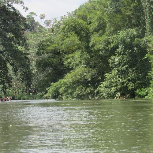 Photo #6275845
