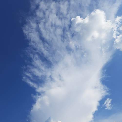 Photo #6276036