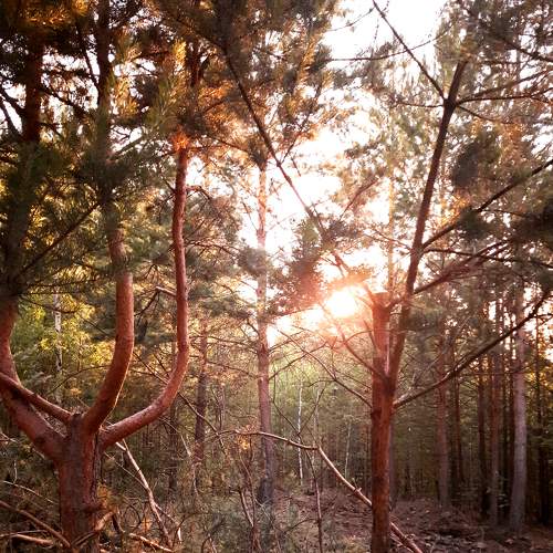 Photo #6276101