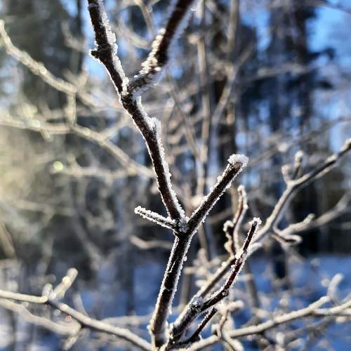 Photo #6276103