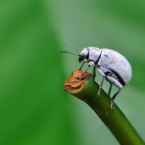 Photo #6276150
