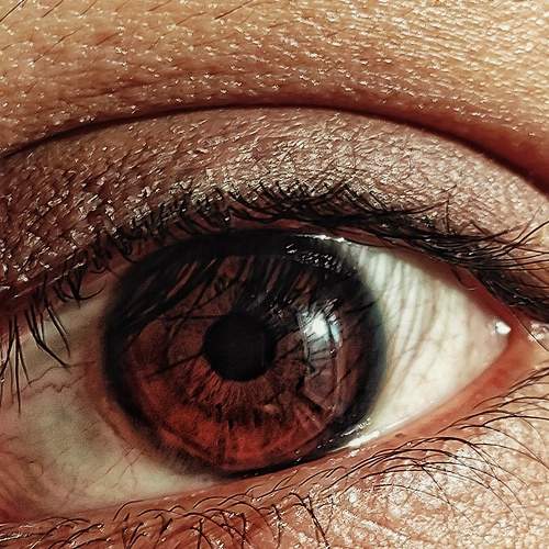 EYE