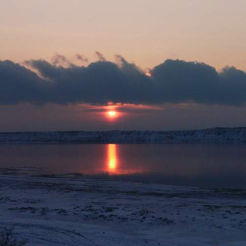Photo #6276390