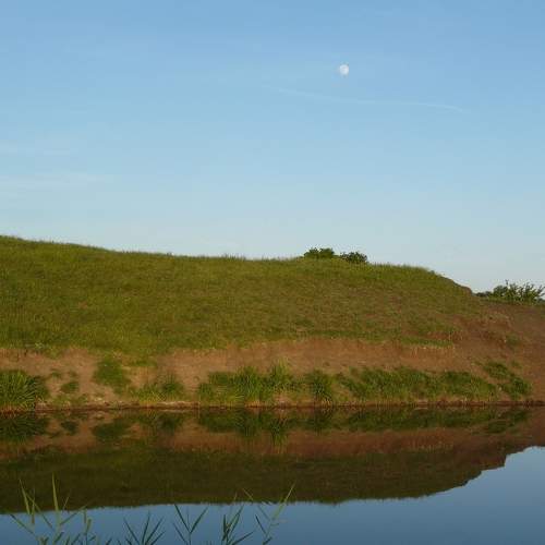 Photo #6276400