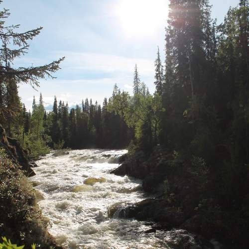 Photo #6276441