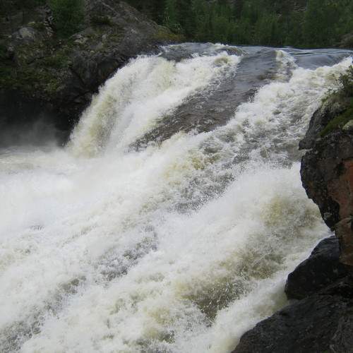 Photo #6276448
